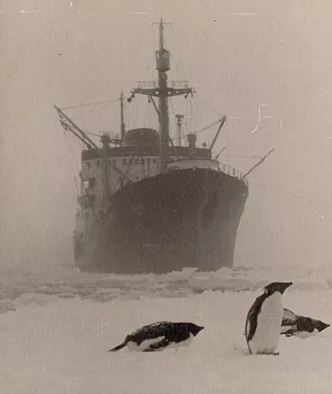 Антарктида [1956]