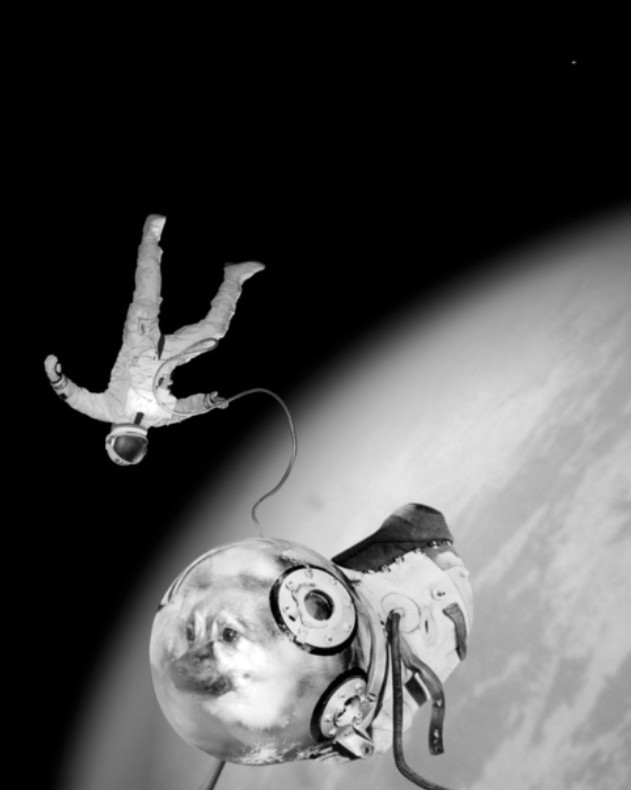 Фотография из проекта "Спутник" (1997) испанского художника-мистификатора и теоретика Хуана Фонткуберта